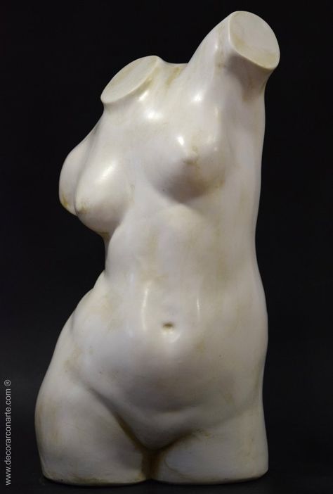 Statue, Female Torso, Anatomy Sculpture, Anatomy Poses, Human Sculpture, Statues, Human Anatomy, Anatomy Reference, Sculpting