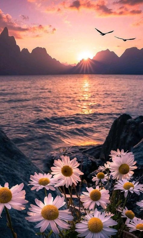 Instagram, Nature, Sunrise, Beautiful Flowers Wallpapers, Sunset, Sunset Wallpaper, Beautiful Backgrounds, Nature Wallpaper, Beautiful
