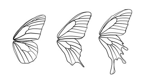 Art, How To Draw Animals, Draw Animals, Butterfly Art, Butterfly Drawing, How To Draw Wings, Butterfly Wings Pattern, Drawing Sketches, Wings Drawing
