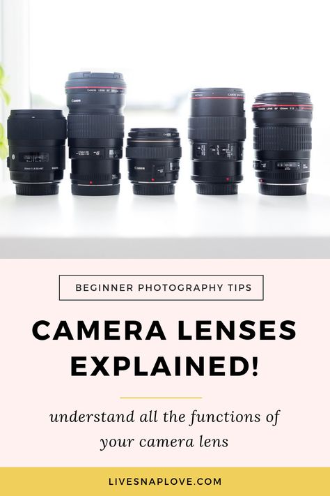 Rc Lens, Photography Equipment, Portrait, Photography Tips, Camera Lenses Explained, Lens Guide, Camera Lens, Photography Lenses, Photography Help