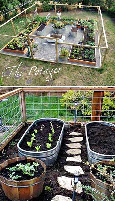 30 Amazing Ideas For Growing A Vegetable Garden In Your Backyard Gardening, Shaded Garden, Raised Garden Beds, Vegetable Garden Design, Back Garden Landscaping, Backyard Vegetable Gardens, Garden Yard Ideas, Raised Vegetable Gardens, Raised Garden