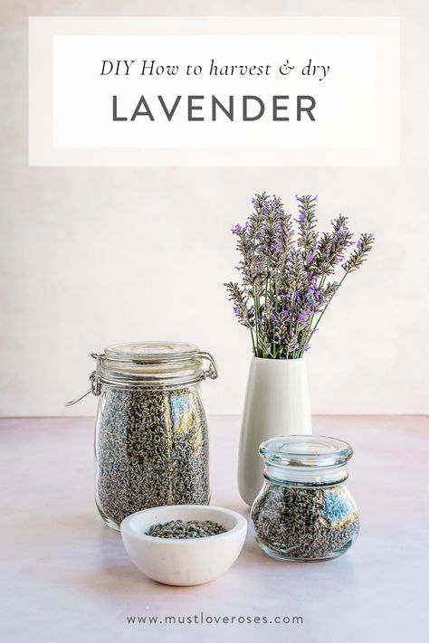 Shaded Garden, Nature, Summer, Diy, Things To Do With Lavender Plant, Dried Lavender, Drying Lavender, Lavender Sachets, Dried Lavender Flowers