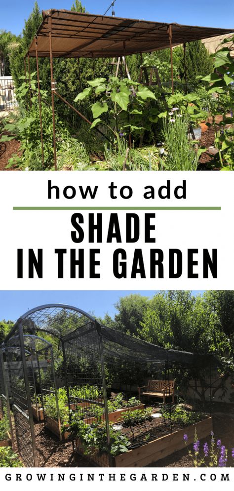 Shaded Garden, Camper, Garden Planters, How To Make Shade For Garden, Shade Cloth Garden Raised Beds, Garden Shade, Shade Garden, Shade House, Shade Cloth Garden