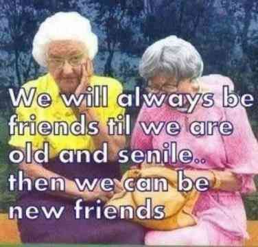 30 Best Friend Memes To Share With Your BFF On National Best Friend Day | YourTango Friendship Quotes, Friends, Sayings, Humour, Funny Quotes, Quotes To Live By, Favorite Quotes, Best Friend Quotes, Friends Quotes
