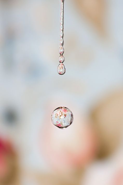 so many people ask me how i did my water drop shots - here is another great tutorial. Ideas, Rain Drops, Photos, Photog, Life, Drop Top, Beautiful, Resim, Pictures