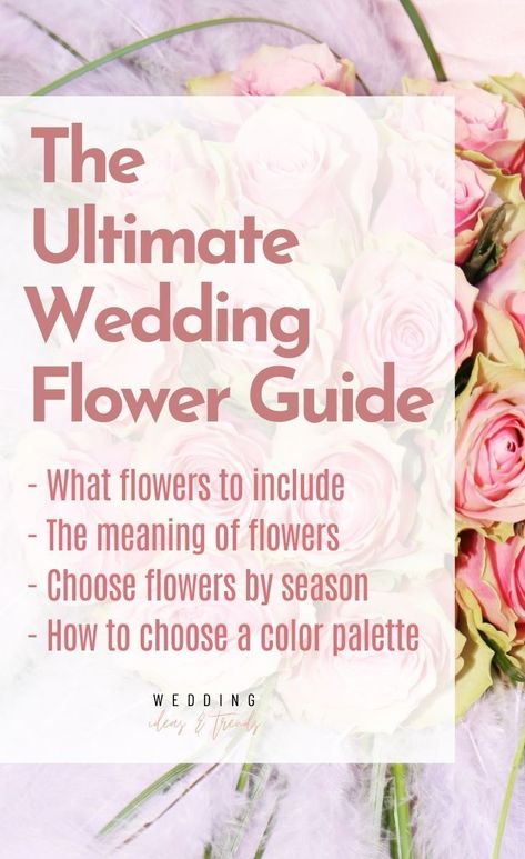 The Ultimate Wedding Flower Guide on how to choose flowers for your wedding including top trendy wedding flower tips on what flowers to include at the wedding, how to choose flowers based on their meaning, the best seasonal flowers, and ideas and inspirations for the best color palettes for the big day. Learn why it's important to consider budget and scope when choosing your wedding flowers, and discover other tips and advice on how to make your big day perfect. Autumn Wedding Colours, Wedding Decor, Wedding Flowers, Spring Wedding Flowers, Wedding Flower Guide, Wedding Flowers Summer, Wedding Flower Arrangements, Wedding Color Schemes, Wedding Arrangements
