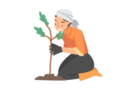 Woman Volunteer Planting Tree Engaged in Freely Labour Activity for Community Service Vector Illustration. Young Gracious Female Taking Care of Environment Concept Design, Art, Volunteer Travel, Volunteer, Community Service, Community Engagement, Environment Concept, Environment, Community