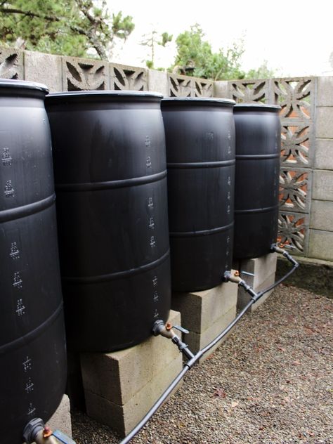 Learn how to create a rain barrel system with multiple barrels to start collecting rainwater for your garden. These 12 steps are everything you need to set up your own DIY rain barrel system. The steps are simple, and you can customize the number of barrels as needed for your garden. #rainbarrels #gardening Rain Barrel System, Rain Barrels Diy, Barrels Diy, Rain Catchment System, Rain Water Barrel, Rain Barrels, Water Catchment, Rainwater Harvesting System, Water Barrel