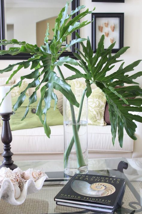 Simple greenery on coffee table Floral, Floral Arrangements, Inspiration, Home Décor, Coastal Decor, Tropical Home Decor, Tropical Decor, Beach Decor, Decorating