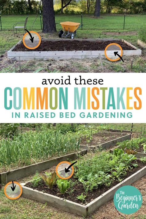 If you're considering starting a raised bed garden, there are a few things you'll want to avoid in order to ensure success. In this article, we'll cover some of the most common mistakes people make when starting a raised bed garden, so you can be sure to avoid them. From choosing the wrong location to planting too closely together, we'll help you steer clear of the pitfalls that can ruin your raised bed garden. Outdoor, Layout, Square Foot Gardening, Gardening, Preparing Garden Beds, Raised Bed Planting, How To Layer Raised Garden Beds, Raised Bed Greenhouse, Raised Bed Vegetable Garden Layout
