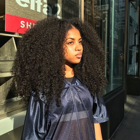 ✨ P i n t e r e s t • @teeahnii Big Hair, Long Hair Styles, Hairstyle, Haar, Capelli, Afro, Cool Hairstyles, Hair Inspiration, Afro Hairstyles