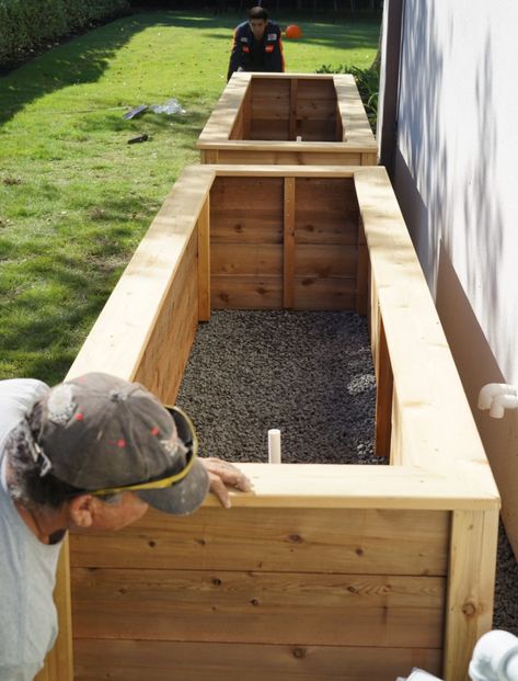 Three Mistakes to Avoid When Building Your Raised Beds • Gardenary Gardening, Exterior, Home Décor, Wooden Raised Garden Bed, Raised Bed Gardens, Wood Raised Garden Bed, Raised Bed Garden Design, Outdoor Raised Garden Beds, Free Standing Garden Beds
