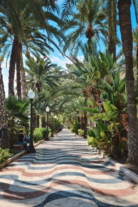 Alicante's stunning Explanada de España promenade with its iconic wave mosaic floor. Malaga, Alicante, Places, Trips, San Juan, Costa Del, Costa, Beach, Playa