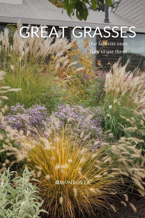 Gardening, Exterior, Landscaping With Grasses, Drought Tolerant Landscape, Tall Grass Landscaping, Grasses Landscaping, Drought Tolerant Garden, Drought Tolerant Landscape Backyard, Northwest Landscaping