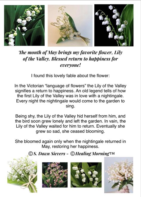 Healing Morning Extra™️. Today, we welcome the month of May with the beauty of my favorite flower, Lily of the Valley, and this lovely fable. ✨ #HealingMorningExtra™️ #FirstDayOfMay #LilyOfTheValley #ReturnToHappiness Posters, Vintage, Piercing, Outfits, Lily Of The Valley Flowers, Lily Of The Valley, Lily Of The Valley Bouquet, Lily Flower, Plant Meanings