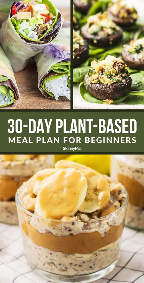 Nutrition, Meal Planning, Diet Recipes, Protein, Ketogenic Diet Meal Plan, Diet Meal Plans, Diet Plan, Plant Based Diet Meal Plan, Plant Based Meal Planning