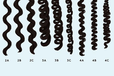 Curl Type Chart, Types Of Curls, Curl Pattern Chart, Curl Types, Curl Pattern, Different Types Of Curls, Hair Chart, Hair Type Chart, Different Curls