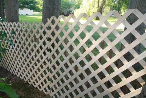 Cheap Easy Dog Fence With 3 Popular Dog Fence Options Outdoor, Ideas, Gardening, Diy, Valentine's Day, Popular, Camper, Dog Fence Cheap, Dog Proof Fence