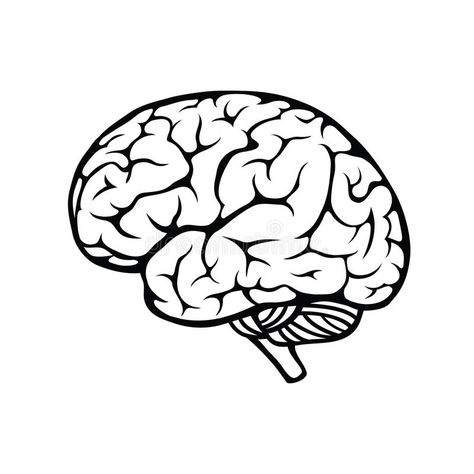 Human brain. Vector outline illustration of human brain on white background , #Affiliate, #Vector, #outline, #Human, #brain, #white #ad Art, Illustrators, Brain Drawing, Brain Art, Brain Illustration, Human Brain Drawing, Brain Vector, Brain Pictures, Brain Tattoo