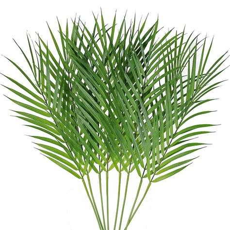 PRICES MAY VARY. Quantity: Set of 8 Artificial Palm Leaves Artificial Areca Palm Tropical Leaves that feature slender stem with lightly curved fronds. Size: Each tropical Areca palm stem measures appr 28" tall and 7" across at its widest. The leaf portion is 12.2" long and leaves are 3" to 5.1" from leaf tip to stem end. Material: Made of plastic and bendable wire inside, these waterproof palm leaf stems look like real plants and can be twisted to any shape you like. The individual fronds have a Home Décor, Palmas, Artificial Palm Leaves, Artificial Plants, Artificial Flower Arrangements, Tropical Decor, Palm Plant, Tropical Leaves, Plant Leaves