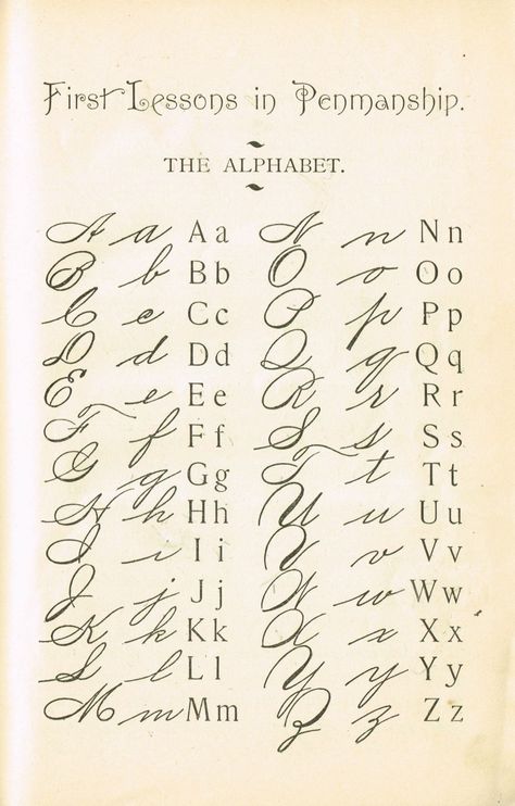 Penmanship Alphabet 1800's school primer -This is the style of penmanship my grandmother used. She was born in 1890.  KnickofTime.net Cursive Alphabet, Cursive, Cursive Handwriting, Alphabet, Lettering Alphabet, Lettering Fonts, Calligraphy Alphabet, Lettering, Calligraphy Letters