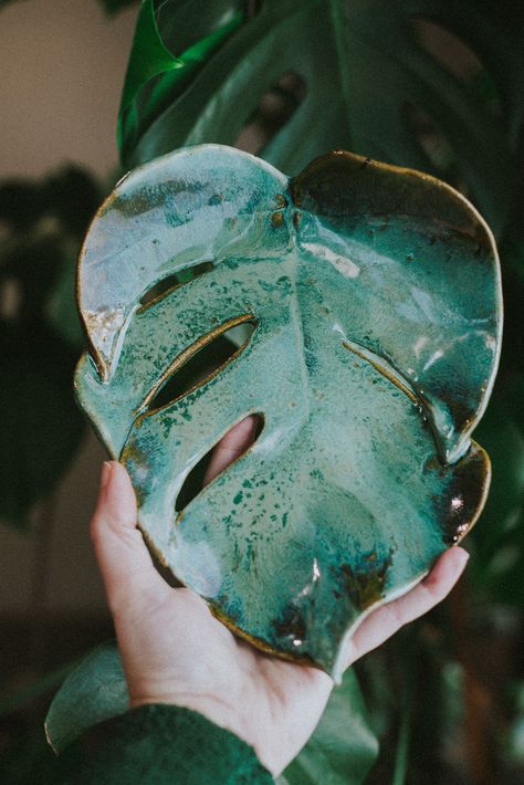 Handmade Pottery, Planters & Vases inspired by nature created by Shii Kaina in Anchorage, Alaska. Shop her pottery or subsribe to be notified of the next POTTERY DROP! — AMONG THE JUNGLE — Keywords: planter, houseplant, monstera deliciosa, monstera, home decor, leaves, leaf, plant help, plant care, garden, gardener, florist, floral design, ceramics, pottery, decor, decoratice tray, home decor, plant styling Ceramics, Art, Inspiration, Floral Design, Monstera Deliciosa, Unique Ceramics, Ceramica, Basteln, House