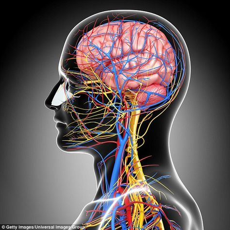 How your brain can heal your body and overcome 'untreatable' illnesses  | Daily Mail Online