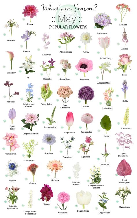Floral Arrangements, Floral, Popular Flowers, Flowers Bouquet, Wholesale Flowers, Floristry, Florist, Spring Flowers, Beautiful Flowers