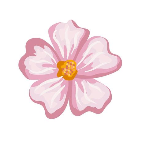 flower pink painting vector design