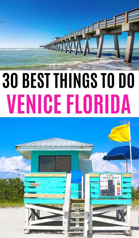 Best things to do in Venice Florida Florida, Venice Beach Florida, Places In Florida, Venice Beach, Road Trip Florida, Visit Florida, Florida Vacation, Florida Gulf Coast Beaches, Florida Travel