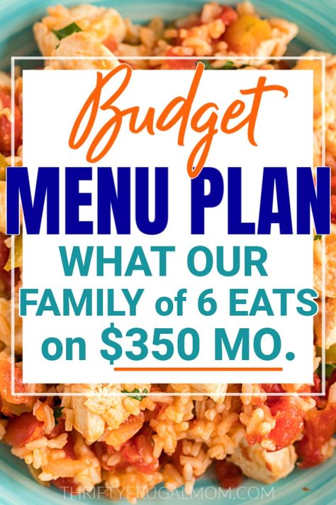 Looking for easy, budget friendly meal ideas? Here's the frugal two week menu plan that our family of six has enjoyed recently! Lots of great menu inspiration! #thriftyfrugalmom #menuplans #mealplan #frugalliving #grocerybudget Healthy Recipes, Meal Planning, Freezer Meals, Budget Freezer Meals, Budget Friendly Recipes, Budget Meals, Grocery Budgeting, Meals For The Week, Money Saving Meals