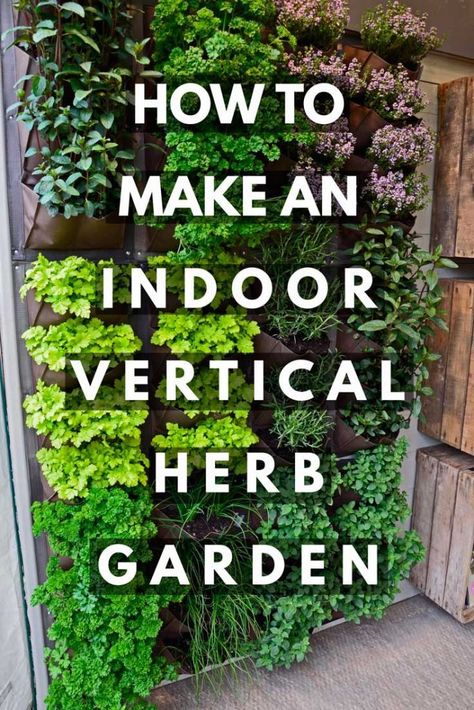 How to Make an Indoor Vertical Herb Garden Indoor Gardening, Trellis, Gardening, Outdoor Herb Garden, Indoor Herb Garden, Vertical Garden Diy, Vertical Herb Garden, Herb Garden In Kitchen, Garden Plants