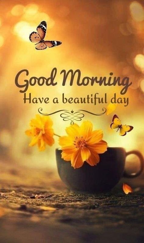 Happy Morning, Buongiorno, Images Bonjour, Cute Good Morning Images, Good Morning Picture, Good Morning Images Flowers, Good Morning Gif, Bonjour, Cute Good Morning