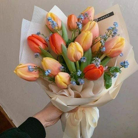 Flowers, Tulips, Prettiest Bouquet, Hoa, Pretty Flowers, Bouquet, Beautiful Flowers, Flower Aesthetic, Bloom