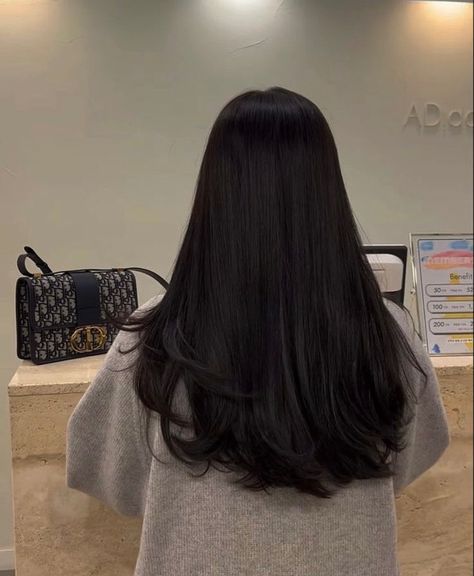 Balayage, Asian Hair, Asian Long Hair, Black Hair Haircuts, Thick Hair Styles, Straight Hair Cuts, Haircuts Straight Hair, Straight Black Hair, Black Hair Layers