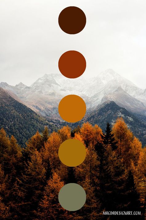 Autumn Fall Color Palette, Colors Of Seasons, Autumn Aesthetic Colour Palette, Fall Photoshoot Palette, Colours Of Autumn, Fall Color Palette Aesthetic, Fall Orange Color Palette, Autumn Colors Aesthetic, Fall Colored Bedroom