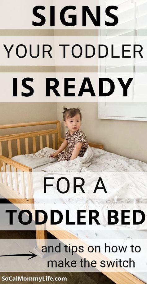 Making the switch from crib to toddler bed can be an exciting milestone for both parents and children. Here are 8 signs your child is ready to make the move. From being able to climb in and out of bed independently, to showing an interest in sleeping in a "big kid's" bed, these clues will let you know that it might be time to invest in a toddler bed. Montessori, Bunk Bed For Toddlers, Toddler Bed For Boys, When To Transition From Crib To Bed, Toddler Bed Girl Ideas, Toddler Bed In Master Room, Best Toddler Bed, Floor Bed Ideas For Toddlers, Toddler Room Twin Bed