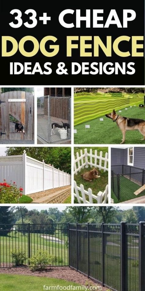 30+ Cheap Dog Fence Ideas and Designs For Your Backyard (2021) Architecture, Husky, Leo, Dog Fence Cheap, Dog Yard Fence, Small Dog Fence, Pet Fence Ideas, Outdoor Dog Area, Backyard Dog Area