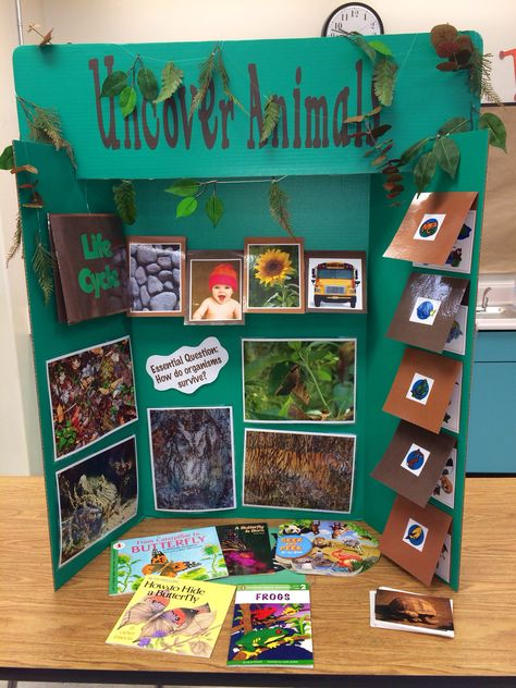"Uncover animals" interactive trifold board. Meets GA standards for K, 2nd, and 4th grades. Decoration, Tri Fold Poster Board, Poster Board Ideas, Science Fair Board, Science Fair Projects Boards, Interactive Poster, School Posters, Tri Fold Poster, Interactive Display