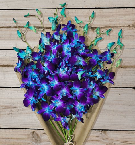 Bouquets, Gardening, Blue Orchid Wedding Bouquet, Blue Orchid Centerpieces, Blue Orchid Bouquet, Blue And Purple Orchids, Blue Orchid Wedding, Blue Dendrobium Orchids, Blue Orchid Flower