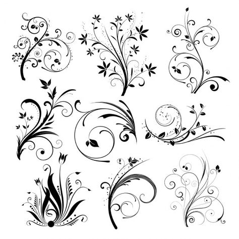 Line Art, Illustrators, Adobe Illustrator, Design, Ornament, Floral, Collage, Doodle Art, Hand Lettering