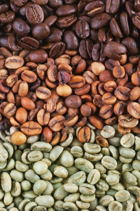 Is it healthy to drink coffee? It is definitely an easy answer and yes  I believe that coffee is healthy. Green Coffee, Green Coffee Bean, Brown Coffee, Coffee Beans Photography, Coffee Bean Shop, Organic Coffee, Coffee Beans, Coffee Tree, Coffee Plant