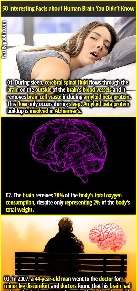 Brain Facts, Human Body Facts, Medical Facts, Psychology Fun Facts, Interesting Science Facts, Intresting Facts, Biology Facts, Facts About Humans, Interesting Facts About Humans