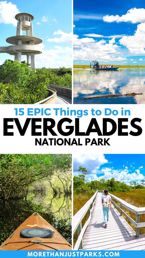 things to do in everglades national park, things to do in the everglades Orlando, Camping, Florida, Florida Keys, Places, Key West Florida, Travel, Adventure, Family