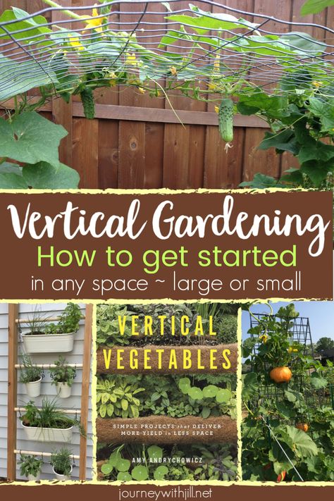Growing vertical vegetables doesn't require a large garden. You can grow vertically in raised beds, containers, or your garden bed. These vertical gardening tips will get you started, and this DIY gardening book, Vertical Vegetables, will help you DIY vertical gardening no matter your space and budget. #verticalgardening #verticalgarden Container Gardening, Gardening, Organic Gardening, Outdoor, Raised Veggie Gardens, Vertical Vegetable Gardens, Vertical Vegetable Garden, Vertical Container Gardening, Vertical Herb Garden