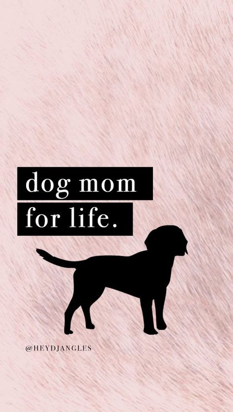 Free Dog Quote Wallpapers & Backgrounds - Hey, Djangles. Picture Quotes, Dog Quotes, Dog Lover Quotes, Dog Mom Quotes, Dog Quotes Funny, Dog Quotes Love, I Love Dogs, Dog Memes, Dog Mom