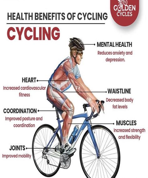Cycling is great activity and doing it on a daily basis will make you stronger and faster. I was looking to improve my cycling performance and found those great 22 tips to take my cycling to the next level: Fitness, Triathlon, Benefits Of Bike Riding, Cycling Tips, Cycling Benefits, Bike Riding Benefits, Cycling Workout, Cardiovascular Exercise, Cycling Race