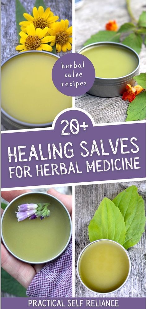 Embrace the natural remedies of nature with over 20 healing salve recipes. Each herbalism recipe utilizes herbs for health, offering natural remedies for various ailments. This collection is a perfect introduction to herbalism, guiding you step by step to create your own medicinal salves from a diverse range of plants and flowers. Gardening, Nature, Herbal Remedies, Medicinal Herbs, Healing Salve Recipe, Herbal Medicine, Herbs For Health, Healing Salves, Herbalism