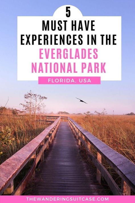Camping, Key West Florida, Canada, Florida Keys, Amigurumi Patterns, State Parks, Wanderlust, Florida, Everglades National Park Florida