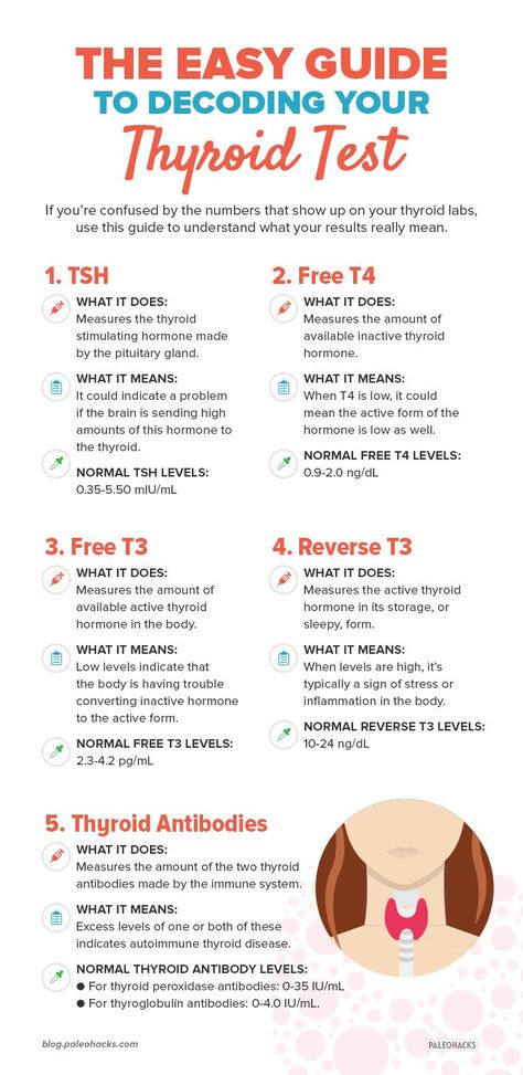 The Easy Guide to Decoding Your Thyroid Tests | PaleoHacks Blog Thyroid Test, Hypothyroidism, Thyroid Help, Thyroid Labs, Thyroid Symptoms, Thyroid Problems, Thyroid Issues, Hypothyroidism Diet, Thyroid Health